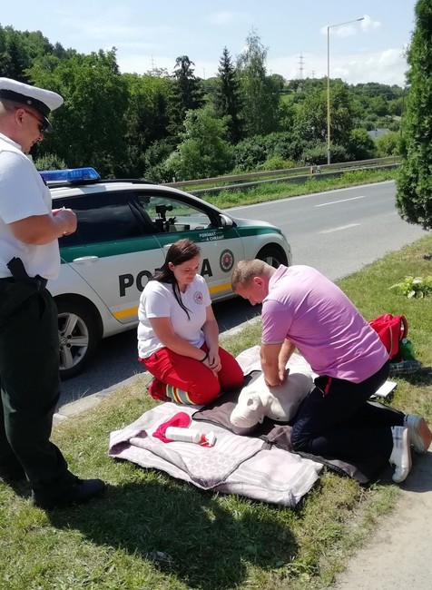 cestná kontrola zameraná na podanie prvej pomoci 