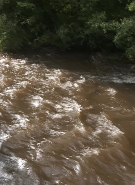 [multi] 061024HZX 1572