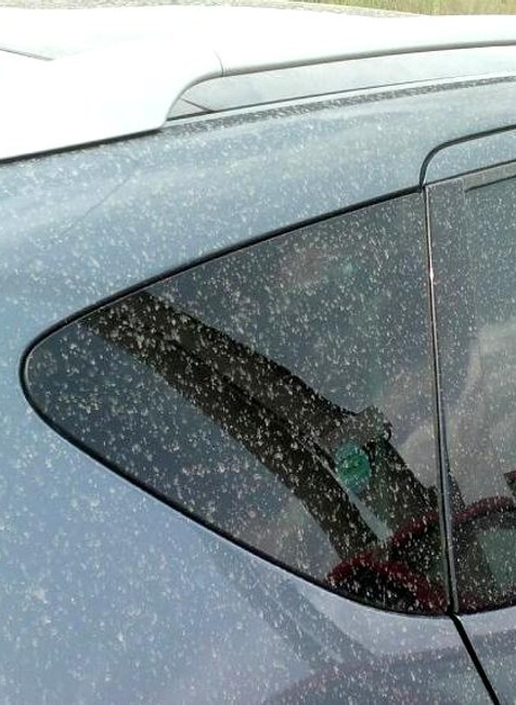 východné Slovensko dážď piesok 1