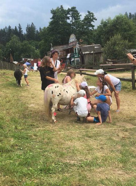 Deti na festivale pomaľovali koníka 