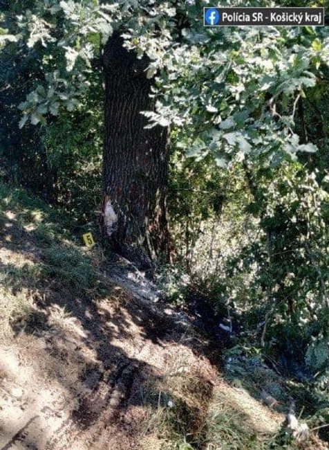 Tragická nehoda pri Michalovciach: Muž neprežil náraz do stromu