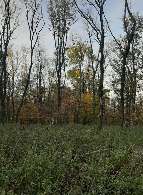 Nezvyčajná záchranná akcia. K záchrane uviaznutého paraglajdistu museli hasiči privolať aj vrtuľník