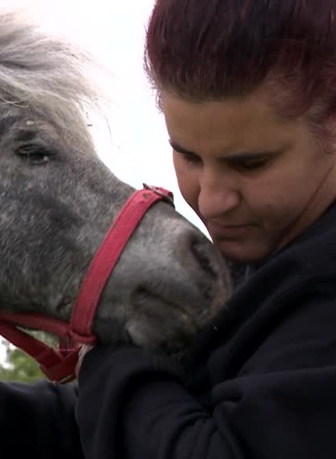 [multi] Nájdený koník 4378