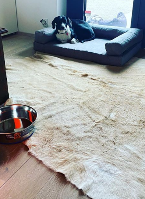 Agata Hanychova - obyvacka