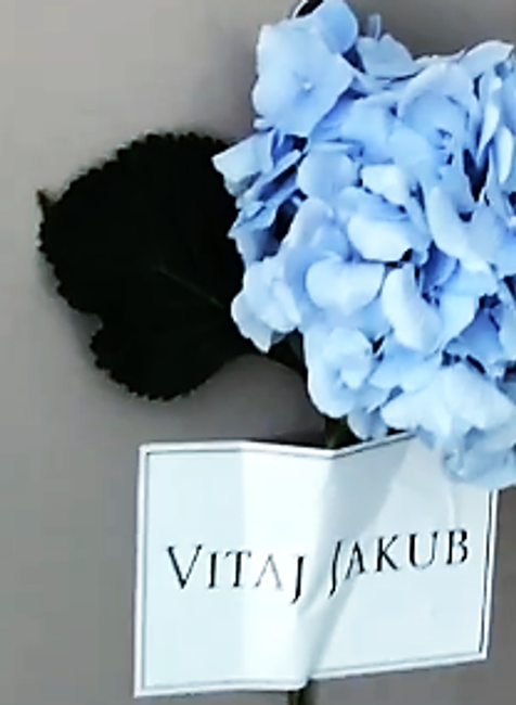 Dominika uvitanie doma (7)