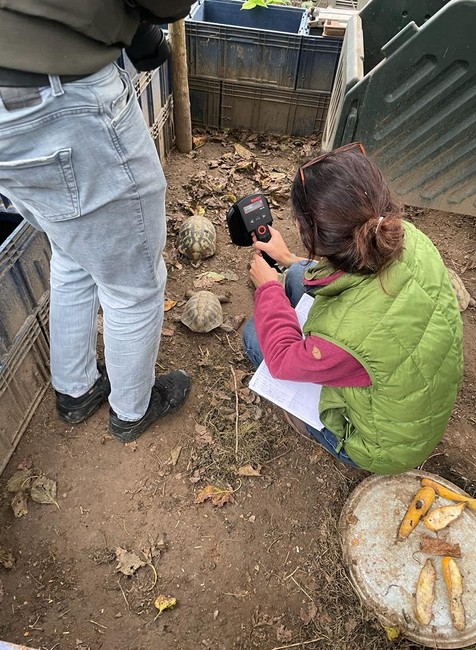 406039730_741020054730232_1971076454874136067_n