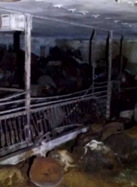 Strážske, PCB látky, Chemko