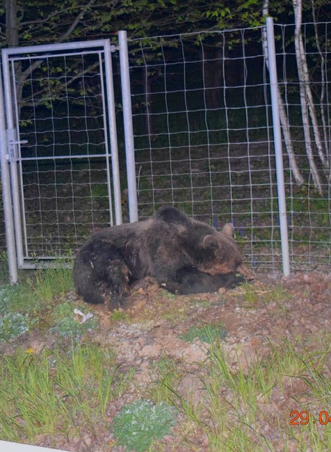 343456694_185407184365550_9033640513564548234_n