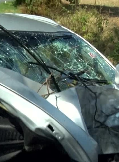 KN Náraz do stromu1740