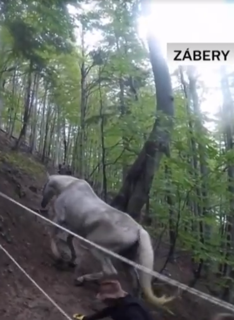 Horskí záchranári takúto akciu ešte nezažili. V Malej Fatre zachraňovali jazdecké kone