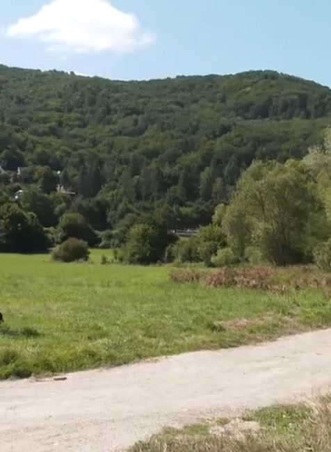 Screenshot 2024-07-27 165520