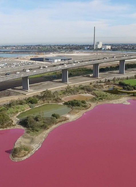 Ružové jazero, Melbourne, Victoria Parks 3