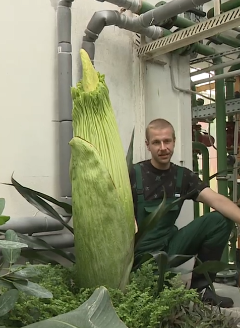 Screenshot 2024-07-27 083909