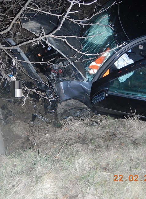 332428502_698069742064206_339560343685748418_n