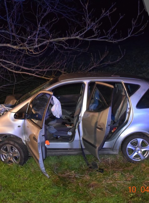 340861280_102060706200908_7102375616643124529_n