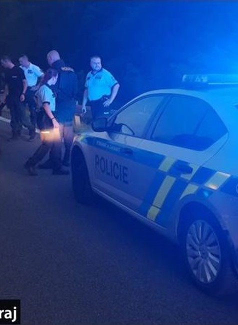 Streľba na diaľnici D2. Muž unikal na ukradnutom taxíku viac ako dvesto kilometrov