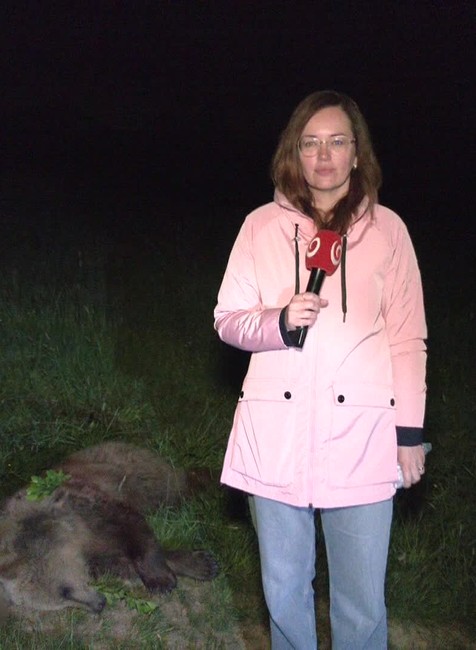 [multi] 051124TGY 5066