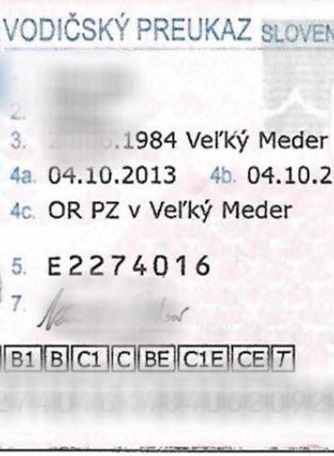 Dokonalé sfalšovanie vodičákov. Jedného z mužov odhalili maďarskí policajti