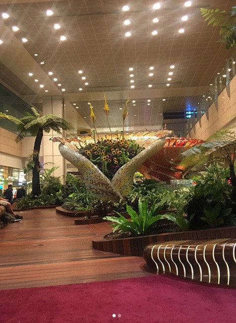 Letisko Changi Singapur