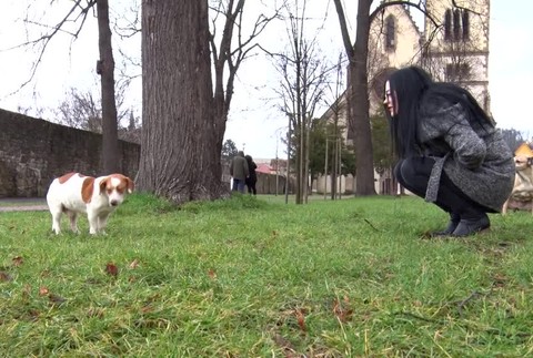 [multi] Šokujúci prípad z okolia Bardejova. Našli tam psa, ktorému niekto do očí nalial kyselinu 273