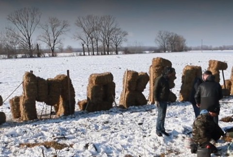 Fullscreen capture 11012019 173710