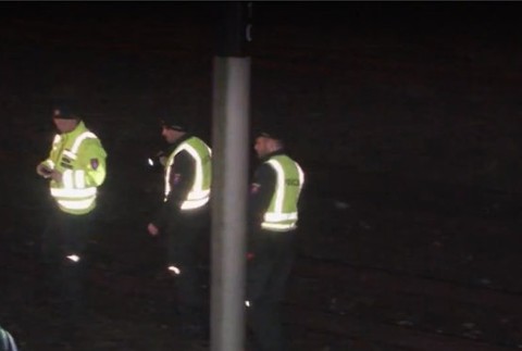 Zveri sa už nemal šancu vyhnúť. S autom zastavil až pri železničnej trati