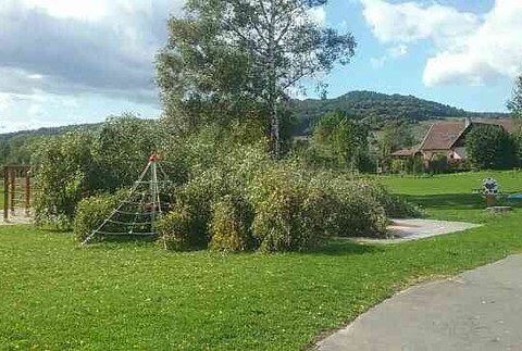 Silný vietor si vyžiadal už 171 zásahov hasičov 