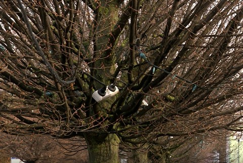 Vianočná výzdoba v Šamoríne