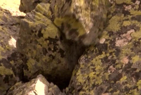 Smrť v Tatrách1452