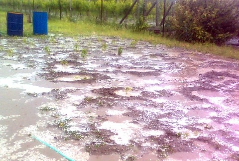 Záhrada Cífer ľadová smršť 2