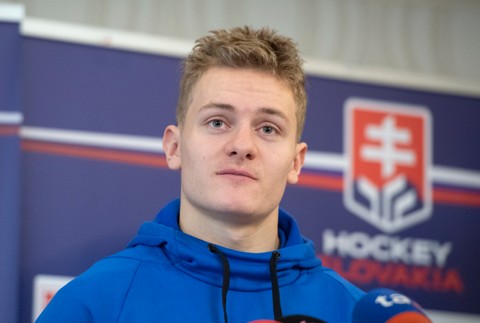 Hokejová reprezntácia