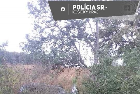 380336283_706253501544734_5361017806546538649_n