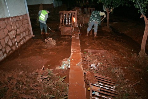madarsko noc-odpratavanie toxickej latky