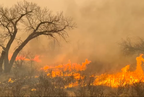 Screenshot 2024-02-28 103624