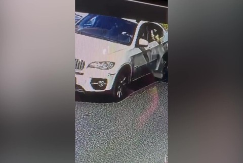 [multi] 053124DSZ 15586