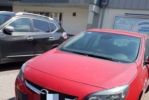 Prvý prípad sezóny v Petržalke. Majiteľka nechala psa v horúcom aute a šla nakupovať 