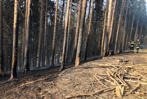 Plamene zachvátili viaceré časti lesa. Hasiči zasahujú na 6 miestach naraz