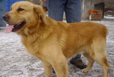 Karanténna stanica č. 3