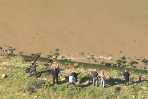 Neďaleko Londýna pláva veľryba bieluha