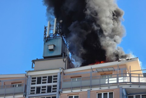 WhatsApp Image 2025-09-30 at 10.10.51