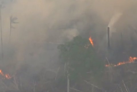 Požiar amazonského pralesa už vidieť aj z vesmíru. Vláde na boj s ohňom chýbajú peniaze