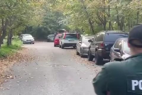 [multi] Páchateľ v kríkoch 16725