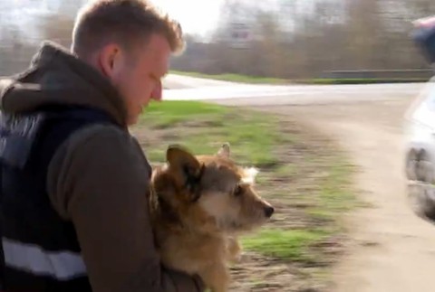 Dôchodcovia už ani neverili, že verného priateľa nájdu. Csöpiho im priniesol na rukách záchranár