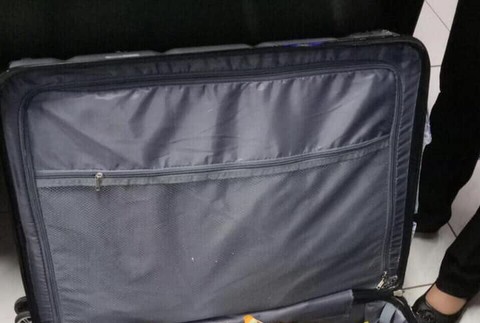 Polícia na letisku zadržala batožinu. Bolo v nich viac ako 1500 korytnačiek