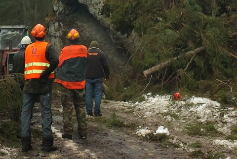Vysoké Tatry Poľsko kalamita 3