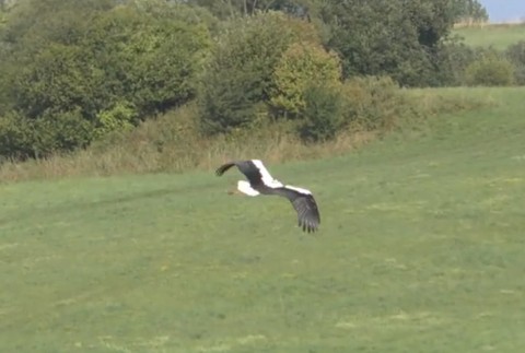 O Vavrincovi nemajú správy už vyše mesiaca. Mohol sa zamotať do káblov alebo ho zastrelili