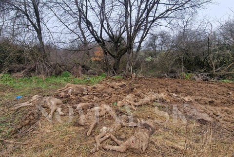 WhatsApp Image 2023-03-07 at 10.18.05 (1)