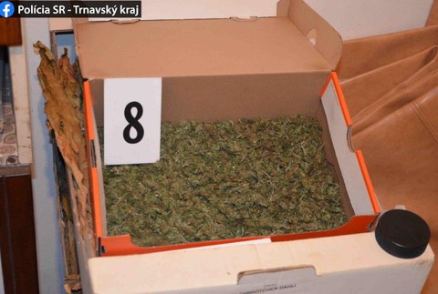 FOTO: Poriadny úlovok polície. V Šoporni zaistili viac ako 800 dávok drogy