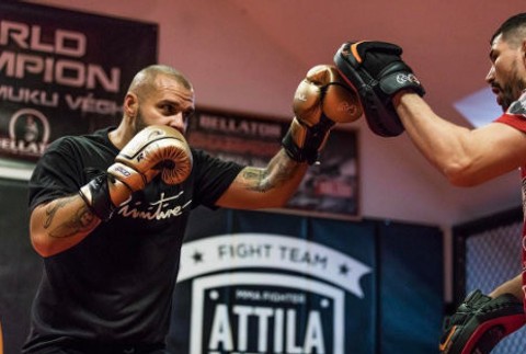 Rytmus trénuje bojové športy