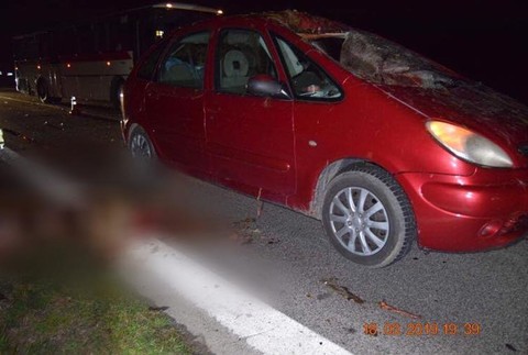 dojč, nehoda, zvery